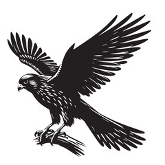 Black Mauritius Kestrel Silhouette Vector, High Quality Illustration on White Background