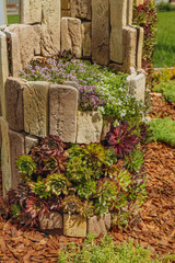 vertical arrangement with succulents on the street