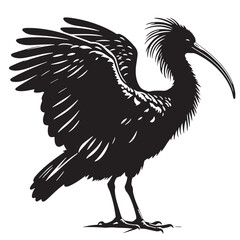 Black Northern Bald Ibis Silhouette Vector, High Quality Illustration on White Background