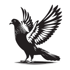 Black Passenger Pigeon Silhouette Vector, High Quality Illustration on White Background