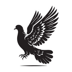 Black Passenger Pigeon Silhouette Vector, High Quality Illustration on White Background