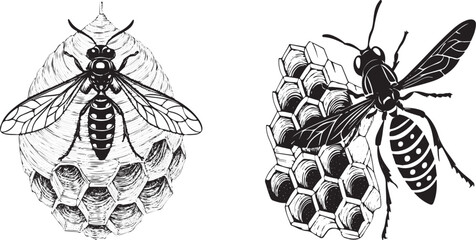 A wasp making its vespiary silhouette vector design with white background.