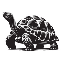 Black Pinta Giant Tortoise Silhouette Vector, High Quality Illustration on White Background