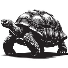 Black Pinta Giant Tortoise Silhouette Vector, High Quality Illustration on White Background