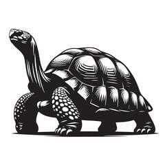 Black Pinta Giant Tortoise Silhouette Vector, High Quality Illustration on White Background