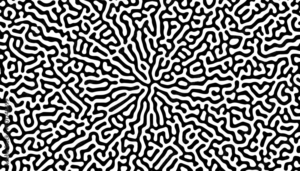 Poster black and white circular turing pattern. rustic pattern for modern ethnic background. vector format 