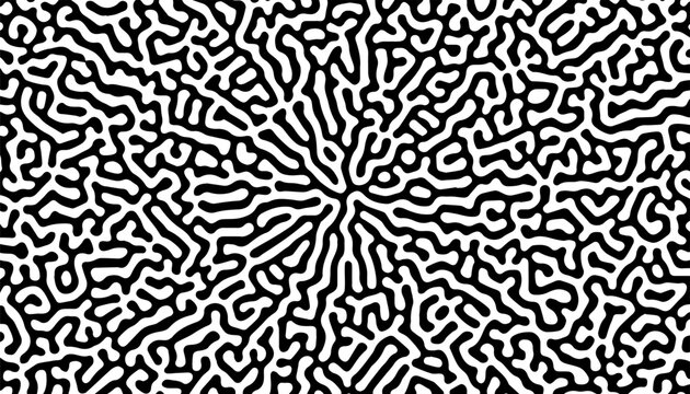 Black and white circular turing pattern. Rustic pattern for modern ethnic background. Vector Format Illustration 