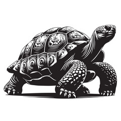 Black Pinta Island Tortoise Silhouette Vector, High Quality Illustration on White Background