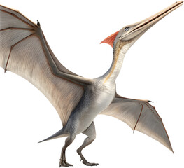 Realistic Pteranodon soaring high with majestic prehistoric wings. © Pram