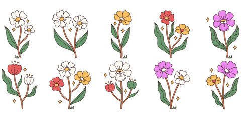 Flower Illustration