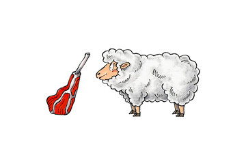 羊とラムチョップ