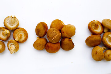 Fresh shiitake mushrooms on white background.