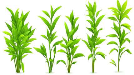 Obraz premium Collection of Lush Green Plants: Botanical Illustrations of Vibrant Foliage