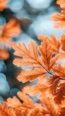 Autumn leaves, warm sunlight, bokeh background, nature detail, perfect for fall-themed designs
