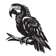 Black Spix’s Macaw Silhouette Vector, High Quality Illustration on White Background