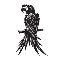 Black Spix’s Macaw Silhouette Vector, High Quality Illustration on White Background © Craftdot