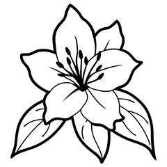 black and white flower