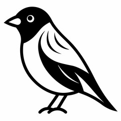 bird on a white background