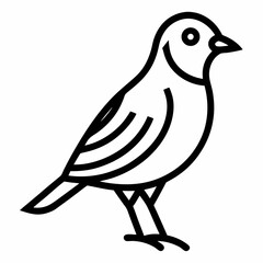 bird on white background