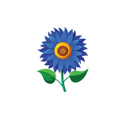 Single sunflower isolated on a white background