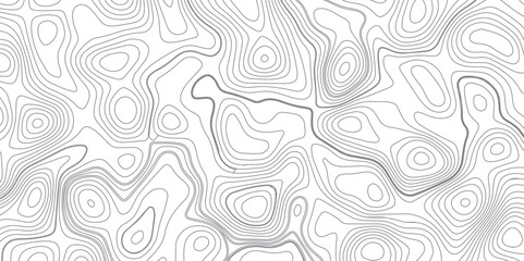 Fototapeta premium Panorama view gradient multicolor wave curve lines banner background design. Vector illustration. wave Line topography map contour background .Abstract Topographic map background with wave line.