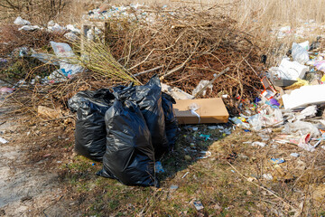 Illegal dumping site with garbage in nature
