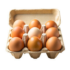 Fresh Eggs Carton Stock Photo