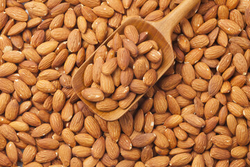 Almond is a deciduous tree in the rose family. It grows to about 6 meters in height and has lanceolate leaves with serrations.
