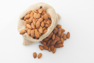 Almond is a deciduous tree in the rose family. It grows to about 6 meters in height and has lanceolate leaves with serrations.
