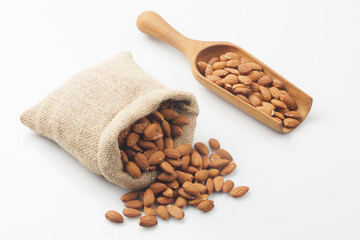 Almond is a deciduous tree in the rose family. It grows to about 6 meters in height and has lanceolate leaves with serrations.
