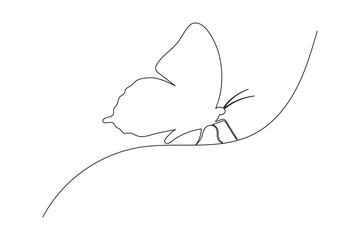 Fototapeta premium Butterfly one line drawing minimalist continuous outline vector icon