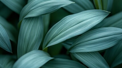 Lush green leaves fill the frame with calming simplicity