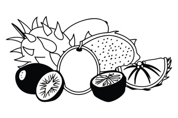 Vector illustration of fresh and organic fruits including pineapple apple pear and berries