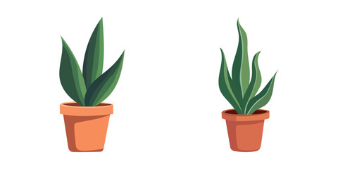 House plants in pots. Element for design house, room or office. Isolated element on white background.