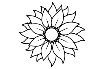Fototapeta premium sunflower with detailed center line art vector 