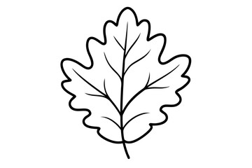 cute oak leaf in autumn style line art vector illustration