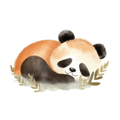 panda sleeping cute watercolors illustration on white background © yuniazizah