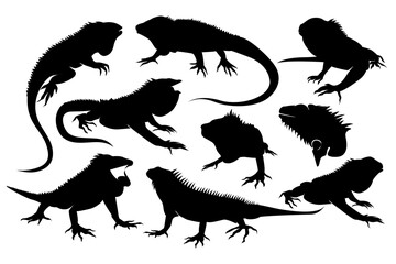 Iguana Silhouette. Black and white Vector Illustration