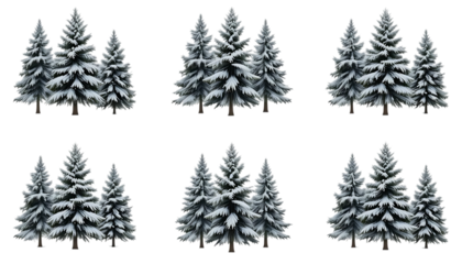 Snow-covered pine trees in winter forest outdoor nature scene