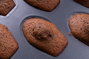 ココアマドレーヌ（ショコラマドレーヌ）