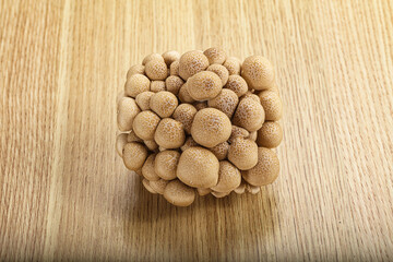Raw asiam delicacy mushroom Shimeji