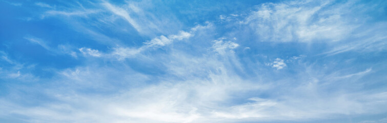 Obraz premium The sky is blue and clear with no clouds