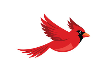 Fototapeta premium vector illustration of a bird