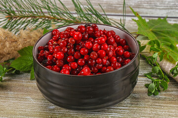 Natural organic wild forwst lingonberry