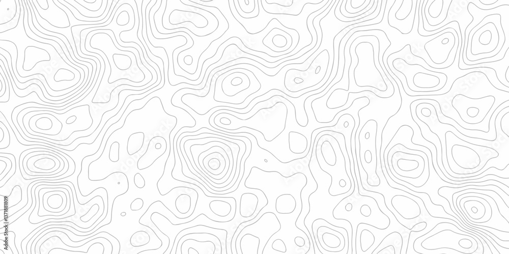 Poster abstract curve grid map and topo contour map on white background, topographic contour lines. seamles