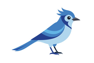 Fototapeta premium blue bird on white background