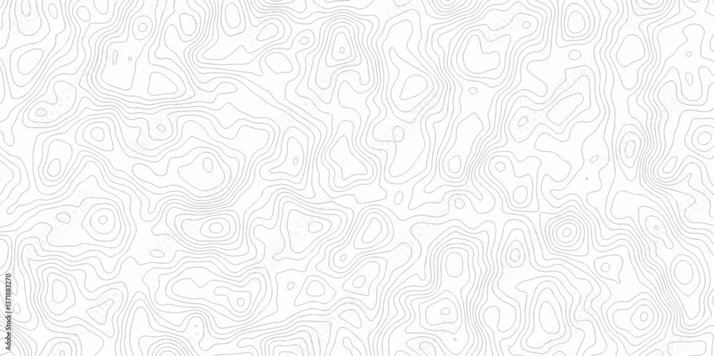 Poster abstract curve grid map and topo contour map on white background, topographic contour lines. seamles