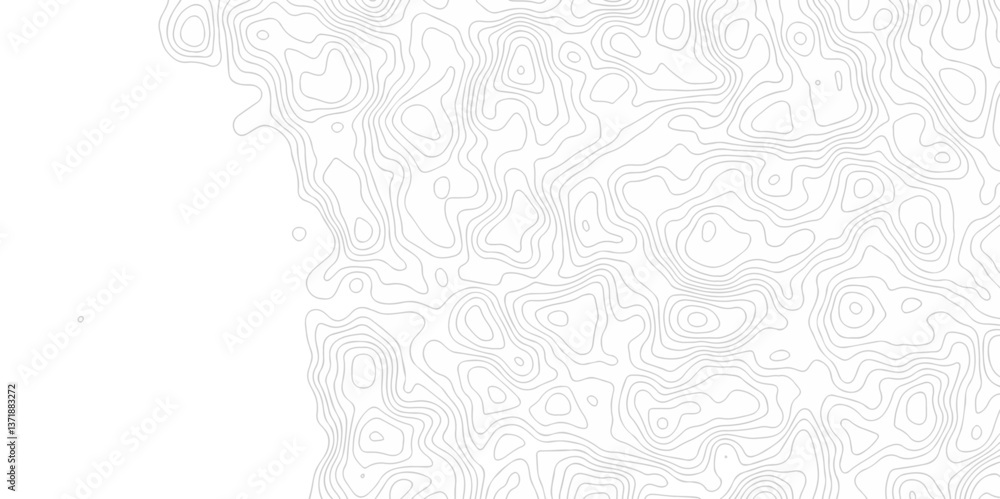 Poster abstract curve grid map and topo contour map on white background, topographic contour lines. seamles