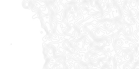 Abstract curve grid map and topo contour map on white background, Topographic contour lines. Seamless pattern with lines Topographic map. Geographic mountain relief diagram line wave carve design.	
