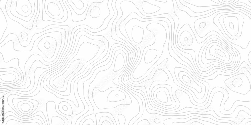 Poster abstract curve grid map and topo contour map on white background, topographic contour lines. seamles